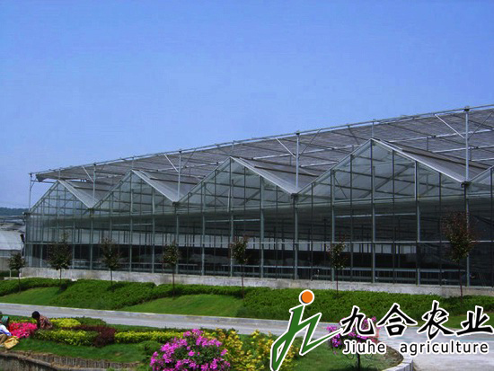 玻璃溫室|連棟溫室|智能溫室|溫室圖片|溫室工程 玻璃溫室|連棟溫室|智能溫室|溫室圖片|溫室工程