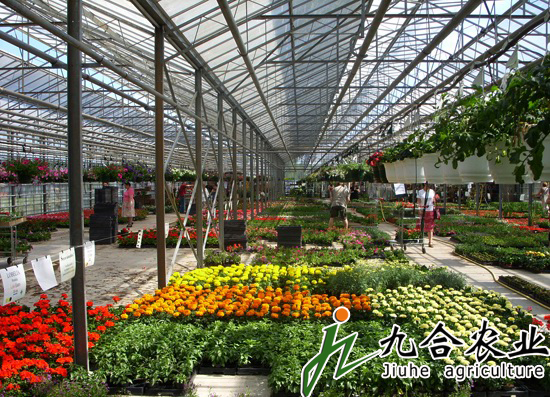 玻璃溫室|連棟溫室|智能溫室|溫室圖片|溫室工程 玻璃溫室|連棟溫室|智能溫室|溫室圖片|溫室工程