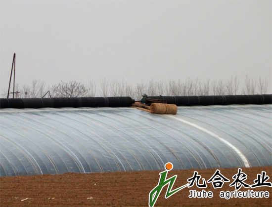 �����չ���Ҵ����B