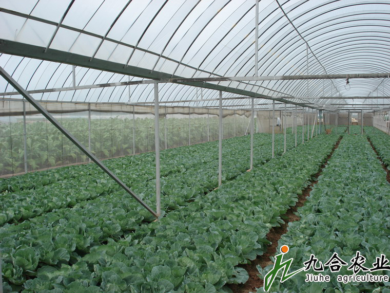 ���Ҵ���|�B������