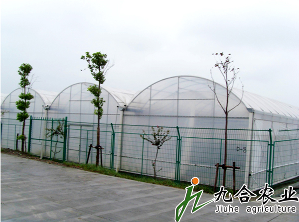 �����B�������B