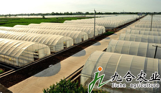 ȫ䓼ܹ����B