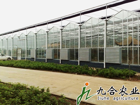 ���B(t��i)�͏d|���Ҵ���