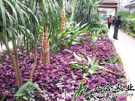 ���B(t��i)�͏d|���Ҵ���