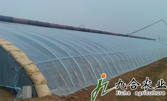 ɽ�|�uƽ�߲˴��ｨ�O(sh��)�Nֲʾ������