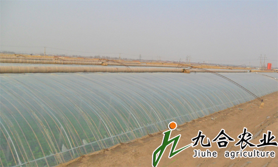 �����ݳ��Ҹ��Nֲ���I(y��)�������߲˴��ｨ�O(sh��)����