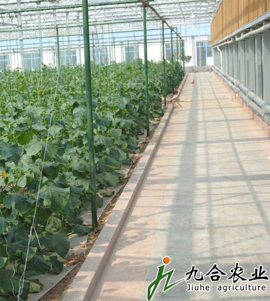 ���ܜ���|��������|�B������