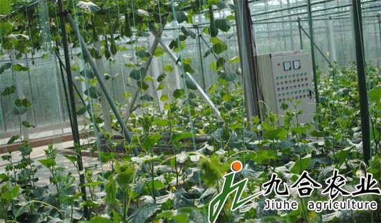 ���ܜ���|��������|�B������