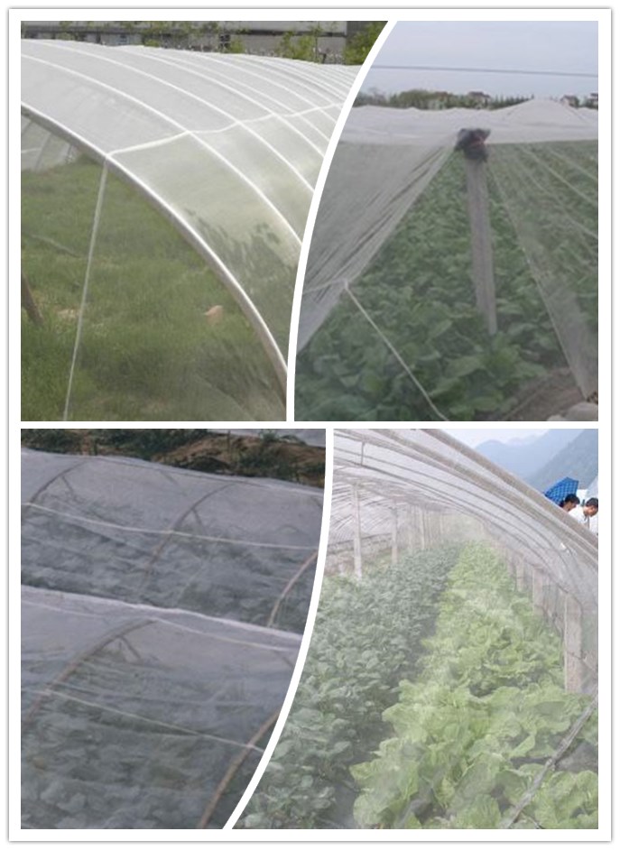 ���x�W(w��ng)